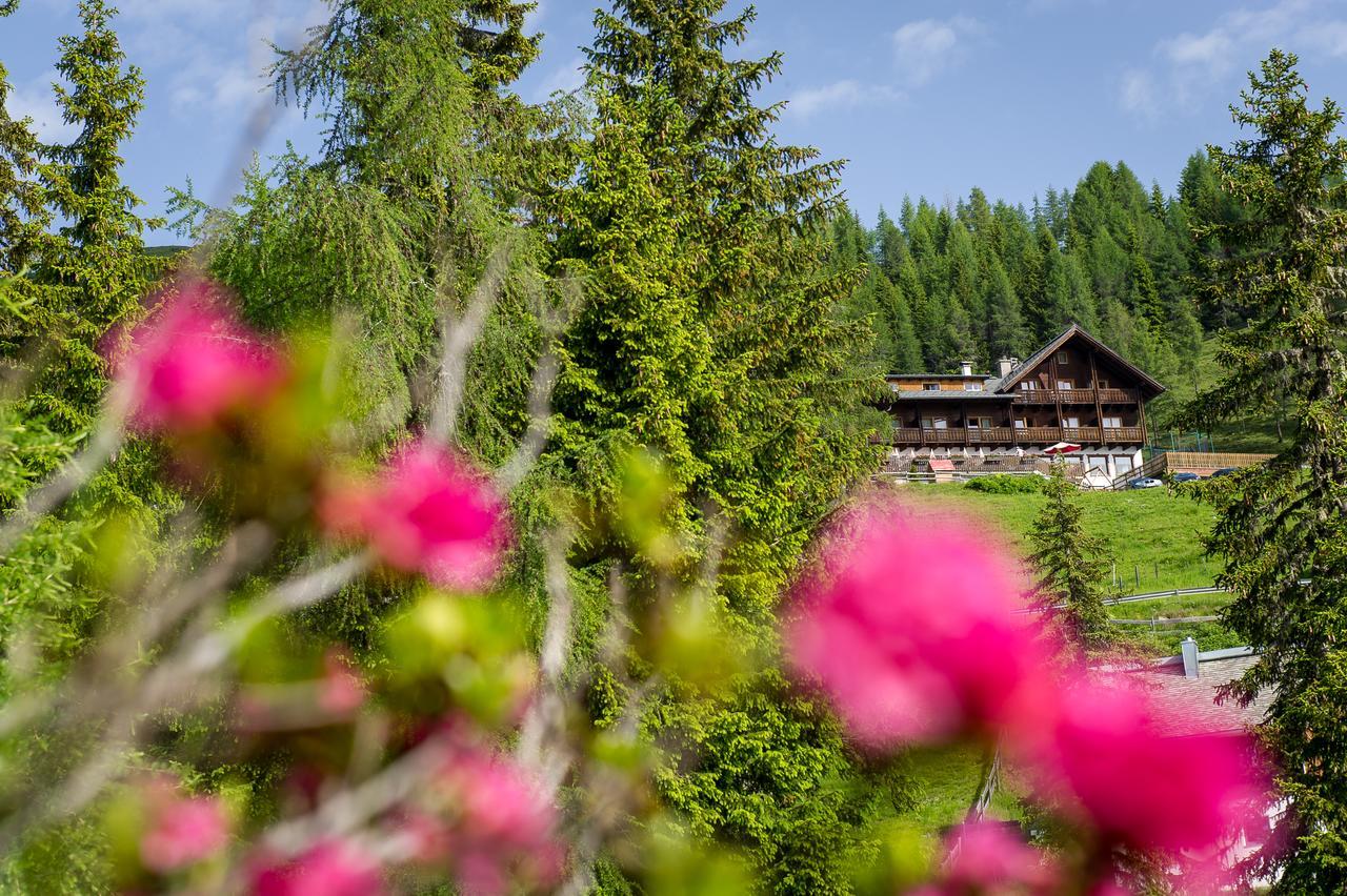 Sattleggers Alpenhof & Feriensternwarte Hotel Greifenburg Exterior photo
